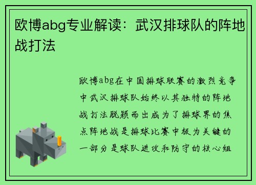欧博abg专业解读：武汉排球队的阵地战打法